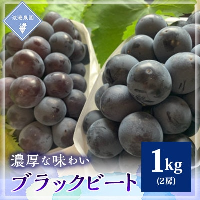 【先行予約 2026年発送】岡山県産　アントシアニン豊富な　ブラックビート　2房(合計約1kg)【配送不可地域：離島】【1562213】