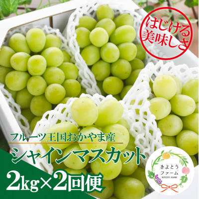 【発送月固定定期便】【2026年先行予約】シャインマスカットを楽しむ満足便/全便計4.0kg〜全2回【配送不可地域：離島】【4065363】