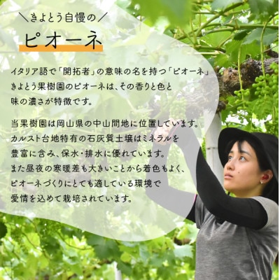 ã2026幎å
è¡äºçŽãããªãŒã äžçŽå3-5æ¿å
¥/èš2kgã(岡山çç£)ãé
éäžå¯å°åïŒé¢å³¶ãã1535986ã