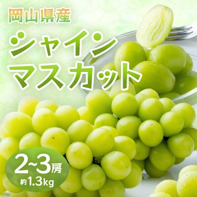 【2026年発送】岡山県産シャインマスカット　約1.3kg・2〜3房(クール便)【配送不可地域：離島】【1614355】