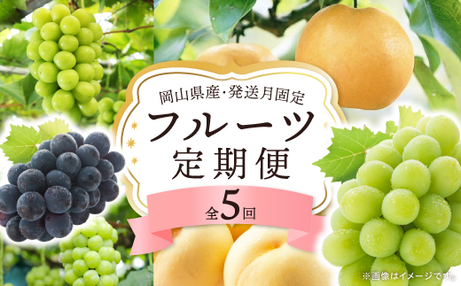 【発送月固定定期便】岡山県産 フルーツ定期便全5回【配送不可地域：離島・北海道・沖縄県】【4075035】