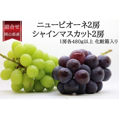 【先行受付】岡山県産詰合/ニューピオーネ2房・シャインマスカット晴王2房 各(1房480g以上)【配送不可地域：離島・北海道・沖縄県】【1499106】