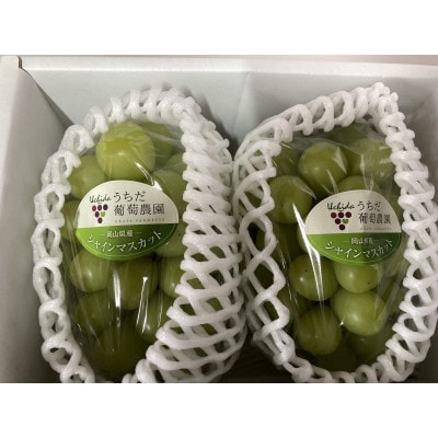 【2026年発送】朝採りシャインマスカット2房入(約1.2kg)【配送不可地域：離島】【1609771】