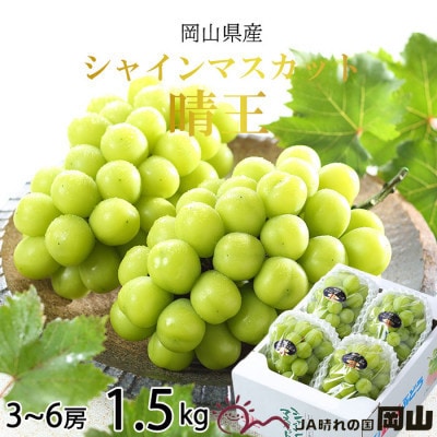 【2026年7月中旬より順次発送】岡山県産 シャインマスカット 晴王 1.5kg(3房〜6房)【配送不可地域：離島・北海道・沖縄県】【1365937】