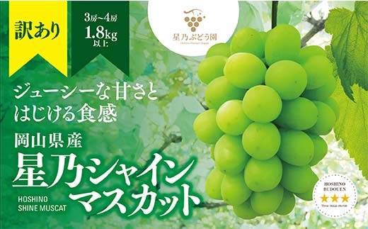 【訳あり】星乃シャインマスカット(岡山県産)　3〜4房(1.8kg以上)【配送不可地域：北海道・沖縄・離島】TY0-0586