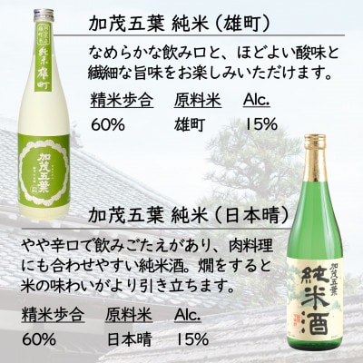 蜉闌ゆコ碑痩 邏皮アウ驟偵ョ縺ソ縺上i縺ケ 720ml 2譛ャ蜈・繧(髮逕コ繝サ譌・譛ャ譎エ)縲1628347縲