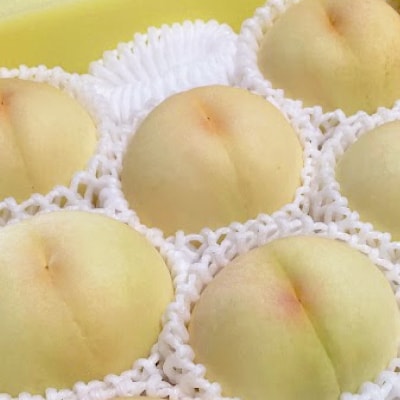 【2026年先行予約】2026年7月下旬頃より発送予定・岡山の白桃・清水白桃(2kg箱)【配送不可地域：離島】【1484602】