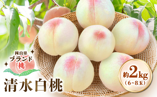 【先行受付|8月上旬頃より順次発送】岡山県ブランド『清水白桃』　約2kg(6~8玉)【配送不可地域：離島・北海道・沖縄県】【1726909】