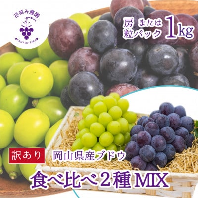 【2026年先行受付】岡山　花笑み農園のブドウ『訳あり2種MIX』1kg　W2M-1【配送不可地域：離島・北海道・沖縄県】【1628310】