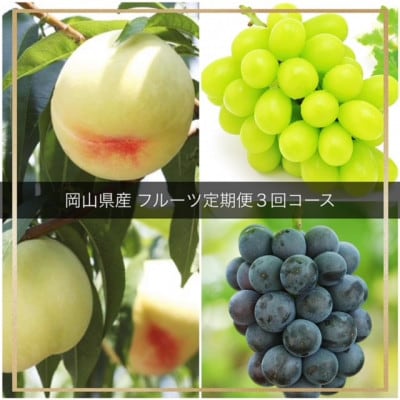 【発送月固定定期便】岡山県産 フルーツ定期便全3回【配送不可地域：離島・北海道・沖縄県】【4055837】