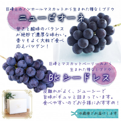 ã2026幎å
è¡åä»ã岡山ãè±ç¬ã¿èŸ²åã®ããã¥ãŒããªãŒã&BKã·ãŒãã¬ã¹ã1kg(2æ¿)PB-1ãé
éäžå¯å°åïŒé¢å³¶ã»åæµ·éã»æ²çžçãã1627765ã