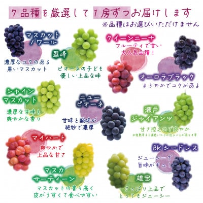 【2026年先行受付】岡山　花笑み農園のブドウ『食べ比べ7種セット』7M-5【配送不可地域：離島・北海道・沖縄県】【1596445】