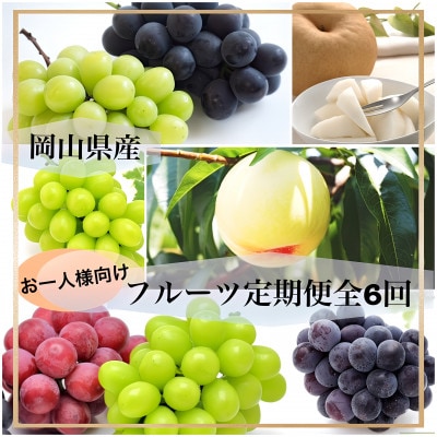 【発送月固定定期便】岡山県産 フルーツ定期便〈お一人様向け〉全6回【配送不可地域：離島・北海道・沖縄県】【4066369】