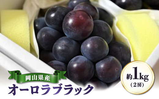 【先行受付|9月上旬頃より順次発送】岡山県産『オーロラブラック』　約1kg(2房)【配送不可地域：離島・北海道・沖縄県】【1726907】