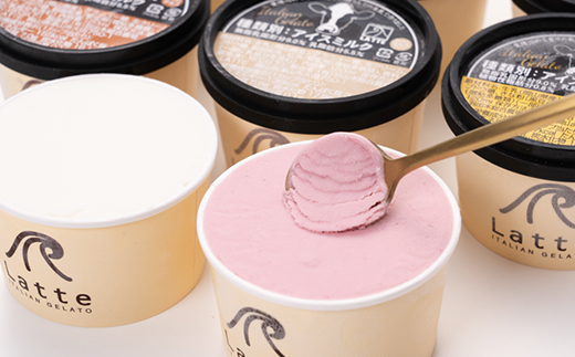 羽出木総合農場直営!イタリアンジェラート120ml　8種詰合わせ【配送不可地域：離島】【1105480】