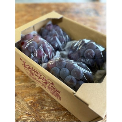 ã2026幎çºéåã岡山çç£ èš³ãã ææã¿ãã¥ãŒããªãŒã 2kg(3ã5æ¿)ãé
éäžå¯å°åïŒé¢å³¶ãã1700083ã