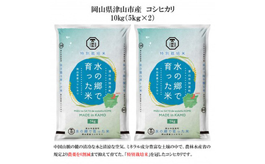 ＜岡山県津山市加茂町産＞水の郷で育った米10kg(特別栽培米コシヒカリ) TY0-0635