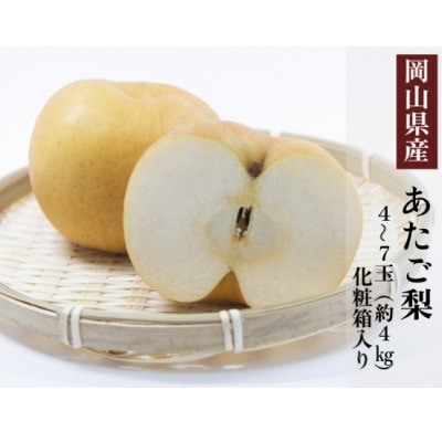 岡山県産 あたご梨 4〜7玉(約4kg) 化粧箱入り【配送不可地域：離島・北海道・沖縄県】【1499107】