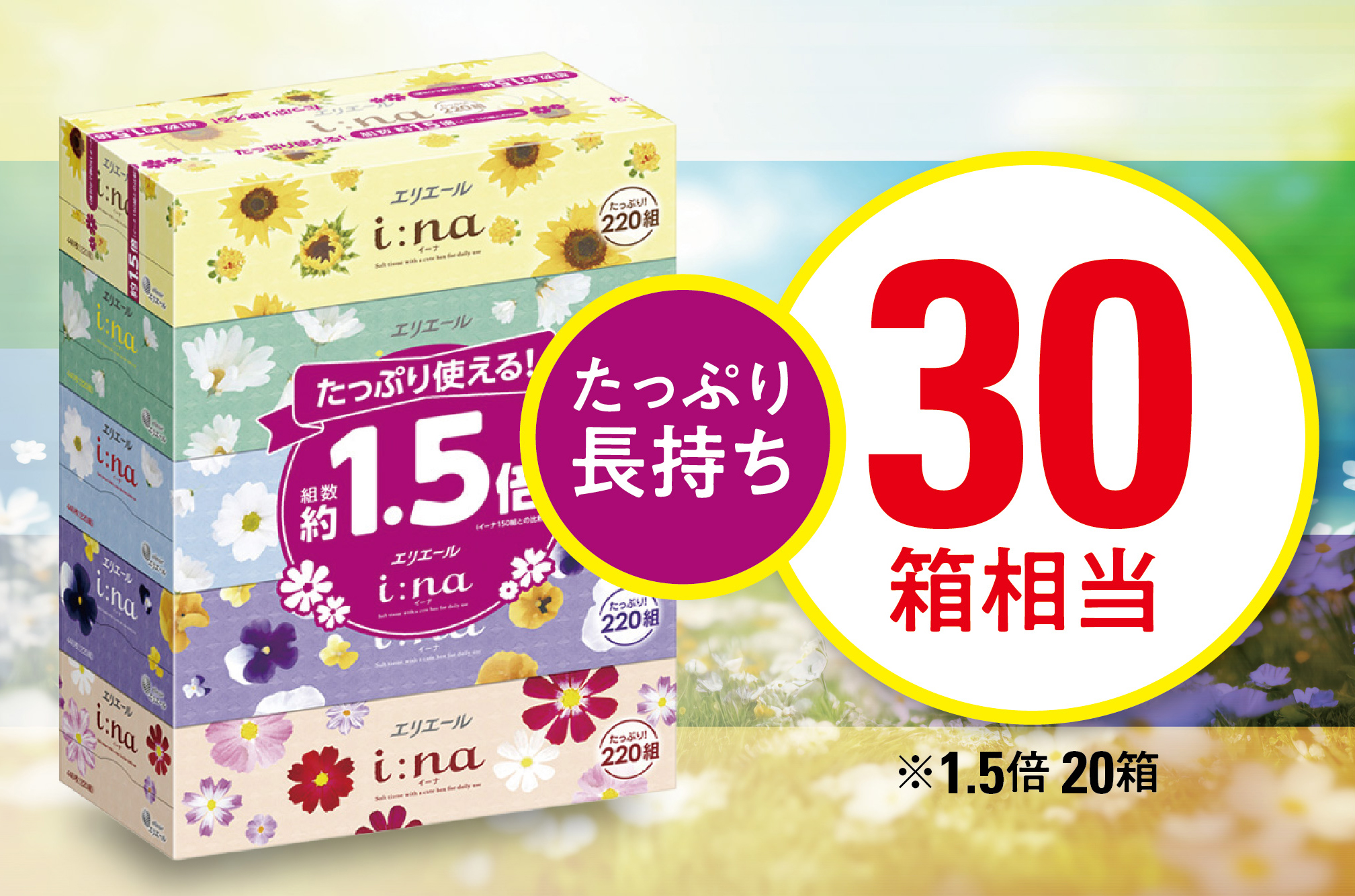 【津山工場限定】エリエール i:na(イーナ)ティシュー 220組5箱×4パック(20箱)【配送不可地域：離島・北海道・沖縄県】【1615610】