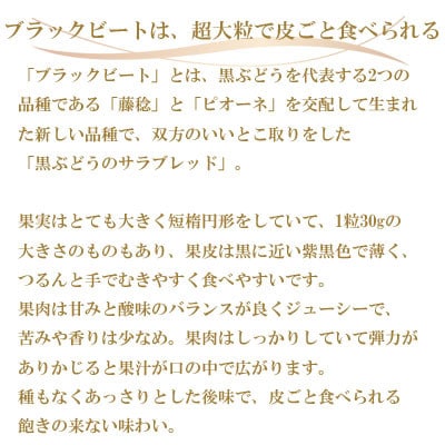 縲仙郁。悟女莉倥大イ。螻ア逵檎肇縲繝悶Λ繝繧ッ繝薙シ繝医2kg(3謌ソ縲6謌ソ)縲宣埼∽ク榊庄蝨ー蝓滂シ夐屬蟲カ繝サ蛹玲オキ驕薙サ豐也ク逵後代1400519縲