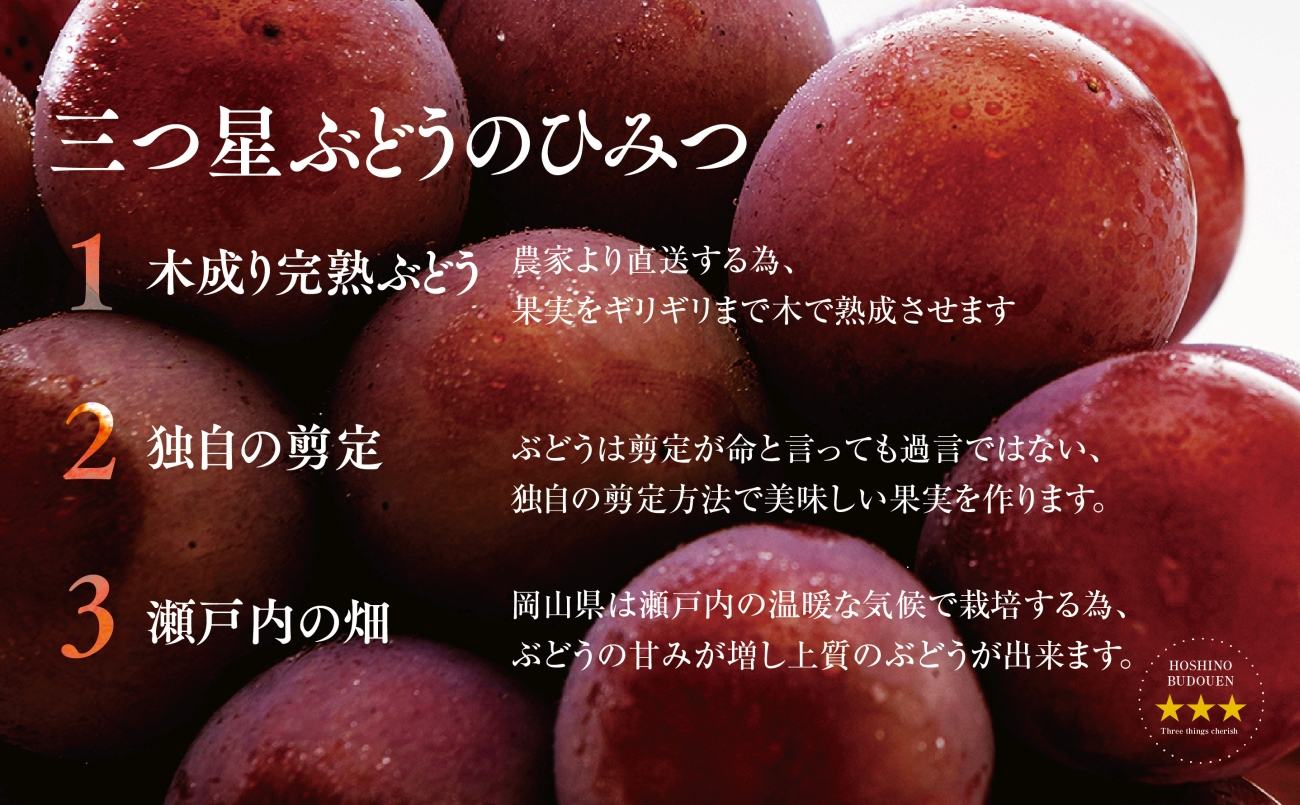 先行受付【三つ星ブランド】星乃クイーンニーナ 数量限定 3房〜5房(1.7kg以上)【配送不可地域：離島・北海道・沖縄県】【1601634】