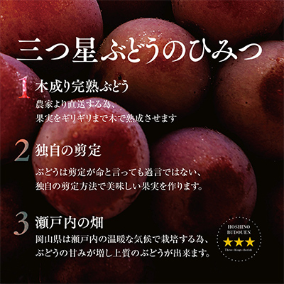 先行受付【三つ星ブランド】星乃クイーンニーナ 数量限定 3房〜5房(1.7kg以上)【配送不可地域：離島・北海道・沖縄県】【1601634】