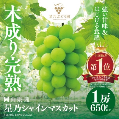 【三つ星ブランド】星乃シャインマスカット 数量限定 (岡山県産) 1房(650g以上)【配送不可地域：離島・北海道・沖縄県】【1746014】