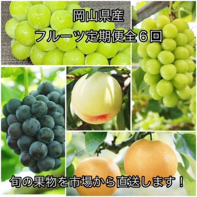 【発送月固定定期便】岡山県産  フルーツ定期便全6回【配送不可地域：離島】【4078581】