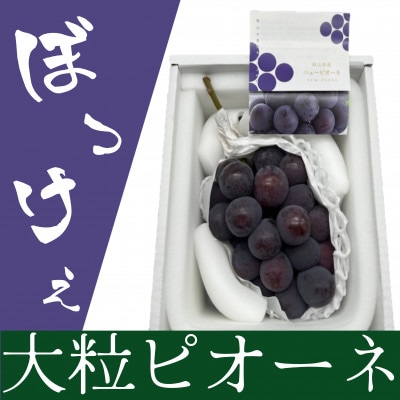【先行受付】岡山県産 ぼっけえ大粒ニューピオーネ1房(800g以上) 化粧箱入り【配送不可地域：離島・北海道・沖縄県】【1499102】