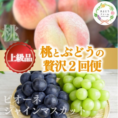 【発送月固定定期便】【2026年先行予約】桃とピオーネ&シャインマスカット贅沢2回便(岡山産)全2回【配送不可地域：離島・北海道・沖縄県】【4067689】