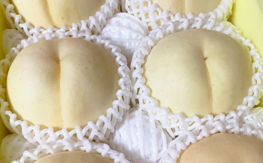 【先行予約・2026年9月上旬頃より発送予定】しっかりした果肉と果汁たっぷり岡山の白桃(2kg箱)【配送不可地域：離島】【1711993】