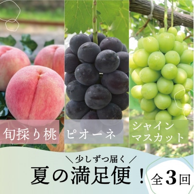【発送月固定定期便】【2026年先行予約】桃、ピオーネ、シャインマスカットの満足便(岡山県産)全3回【配送不可地域：離島】【4078998】
