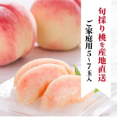 【2026年先行予約】珍しい品種の桃 もも好きのあなたに 旬採り桃 ご家庭用/5-7玉(岡山県産)【配送不可地域：離島】【1571590】