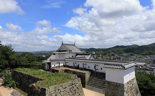 【土・日・祝・月 限定】初代津山城主 森忠政公ゆかりの地を観光ガイドと巡る&肉のまち津山で極上の肉まぶしランチを楽しむ 体験 イベント ツアー TY0-0752