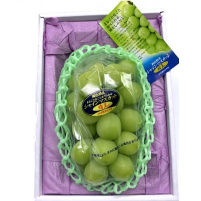 【先行受付】岡山県産 シャインマスカット『晴王』1房(800g以上) 化粧箱入り【配送不可地域：離島・北海道・沖縄県】【1499105】