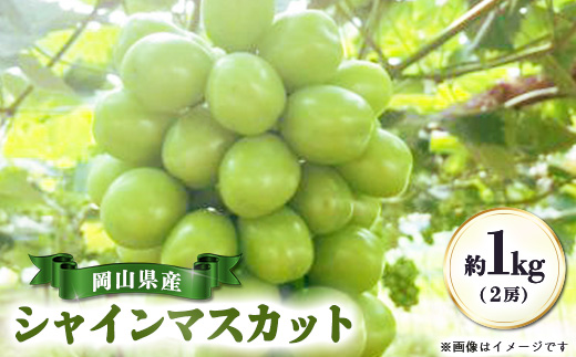 【先行受付|9月上旬頃より順次発送】岡山県産『シャインマスカット』　約1kg(2房)【配送不可地域：離島・北海道・沖縄県】【1726918】