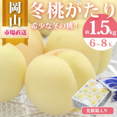 【先行受付】冬桃がたり 6〜8玉(約1.5kg) 化粧箱入り【配送不可地域：離島・北海道・沖縄県】【1595624】