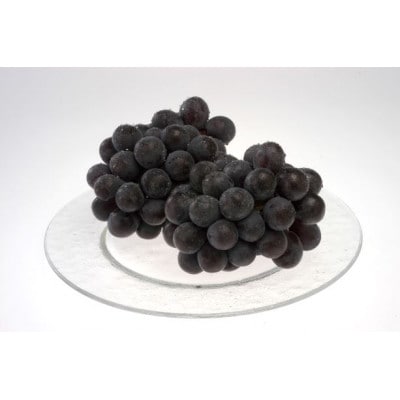 岡山県産ニューピオーネ(家庭用)【2024年8月中旬以降発送予定】【配送不可地域：離島】【1461039】