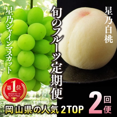 【発送月固定定期便】【人気セット】星乃フルーツ 桃+シャインマスカット全2回【配送不可地域：離島・北海道・沖縄県】【4067234】