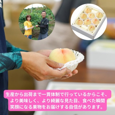 ã2026幎çºéã岡山çç£æž
æ°Žçœæ¡ã8çã»çŽ2.0kgãé
éäžå¯å°åïŒé¢å³¶ãã1614352ã