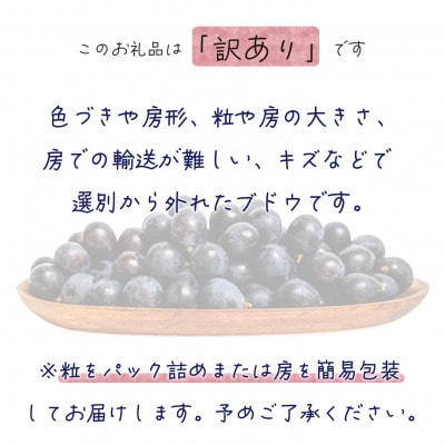 ã2026幎å
è¡åä»ã岡山ãè±ç¬ã¿èŸ²åã®ãããŠãèš³ããBKã·ãŒãã¬ã¹ã1kgãWB-1ãé
éäžå¯å°åïŒé¢å³¶ã»åæµ·éã»æ²çžçãã1628322ã