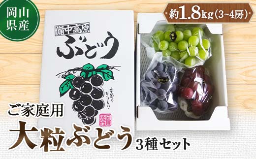 先行予約 2024年10月発送開始予定 岡山県産 ご家庭用 大粒ぶどう3種セット 訳あり TY0-0331