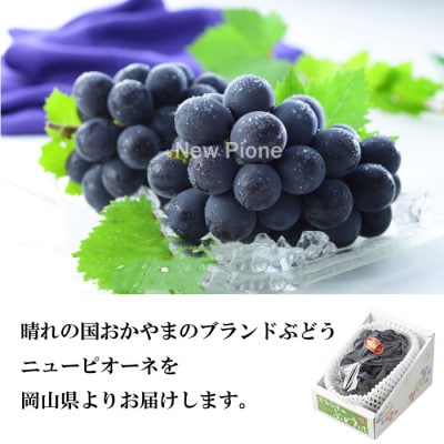 ã2026幎6æäžæ¬ããé æ¬¡çºéã岡山çç£ ãã¥ãŒããªãŒã 700gÃ1æ¿ãé
éäžå¯å°åïŒé¢å³¶ã»åæµ·éã»æ²çžçãã1308139ã