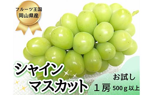 【2025年先行受付】お試しフルーツ王国岡山 シャインマスカット 500g以上！ 朝採れぶどう1房 果物 フルーツ ぶどう シャインマスカット TY0-0938