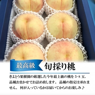【厳選品】旬の桃(品種おまかせ) 5-8玉 (岡山県産) オリジナルの贈答箱に詰めてお届けします。【配送不可地域：離島】【1571767】