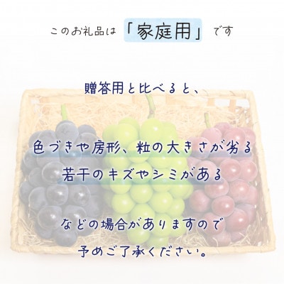 ã2026幎å
è¡åä»ã岡山ãè±ç¬ã¿èŸ²åã®ã10æãããã3çš®ãå®¶åºçšã1.8kg(3æ¿)3M-2Lå®¶ãé
éäžå¯å°åïŒé¢å³¶ãã1694423ã