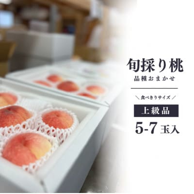 【2026年先行予約】珍しい品種の桃 桃好きのあなたに 旬採り桃の上級品5-7玉入(岡山県産)【配送不可地域：離島】【1571589】
