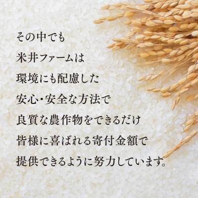 おいしいお米(5kg) 無洗米 リピーター続出 きぬむすめ【1184608】