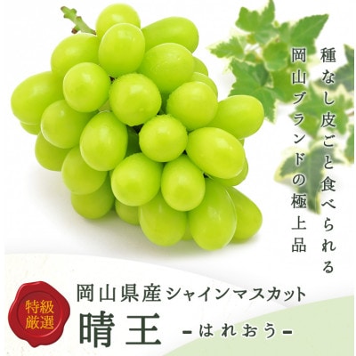 【先行受付】岡山県産 シャインマスカット『晴王』 3〜5房 (約2kg)【配送不可地域：離島・北海道・沖縄県】【1499103】
