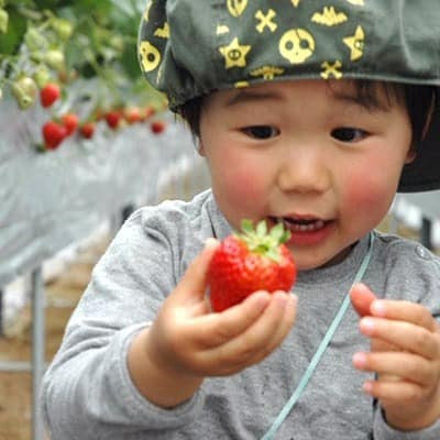 【2026年度発送分】朝採れ新鮮ピオーネ2kg&いちご狩り無料券【配送不可地域：離島・北海道・沖縄県】【1030443】